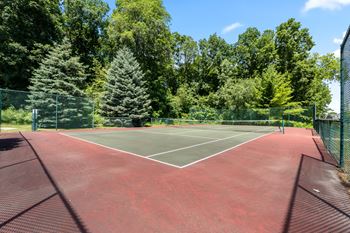 Tennis court